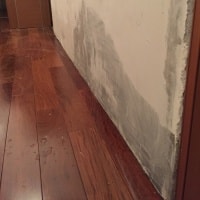 Удаление плесени на стене в коридоре фото